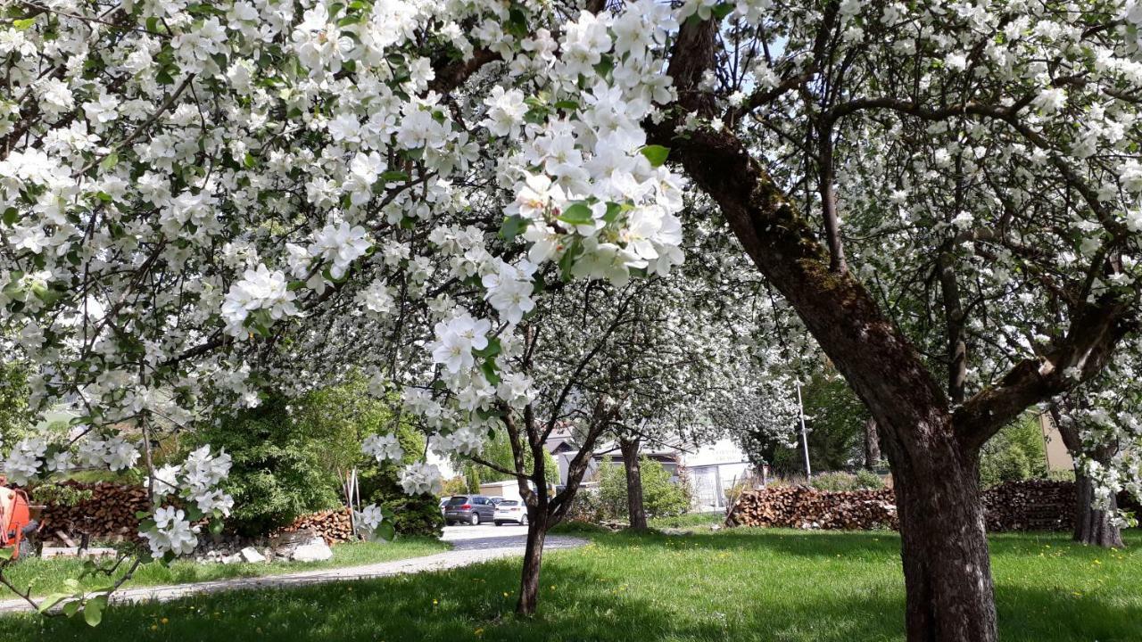 Ferienwohnungen Veit Aigen im Muehlkreis Exterior photo